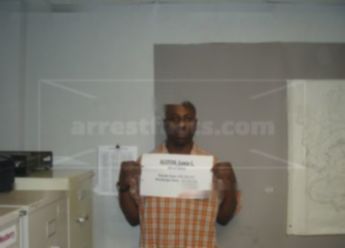 Jamie L Alston