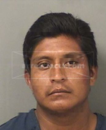 William Vasquez