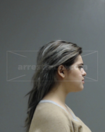 Elizabeth Ann Longoria Perez