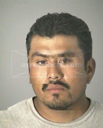 Reynaldo L Martinez