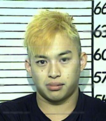 David Hieu Nguyen