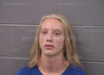 Arizona Arrow Gould