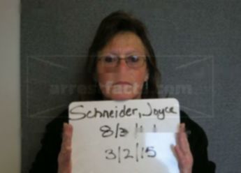 Joyce M Schneider