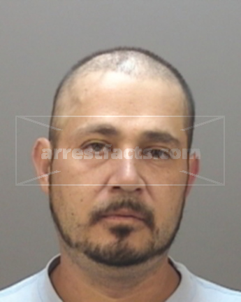 Rogelio Paz-Medina