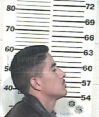 Ramon Alaniz Torres