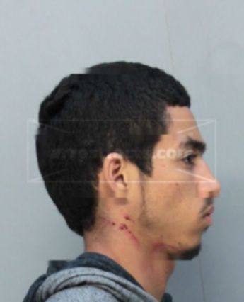 Ismael Patterson