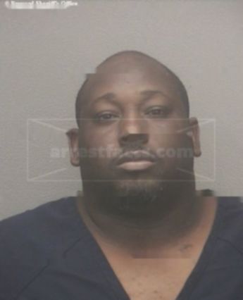 Mitchell C Solomon