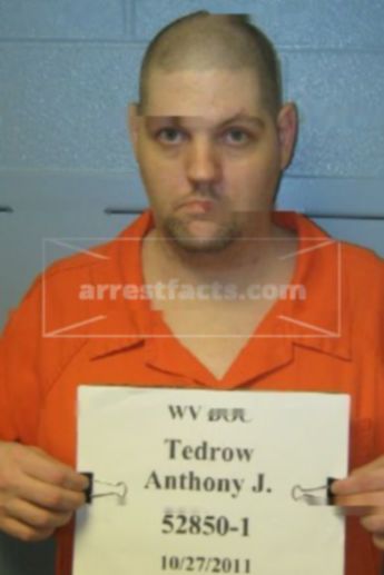 Anthony J Tedrow
