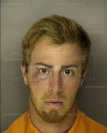 Colin Matthew Robinson