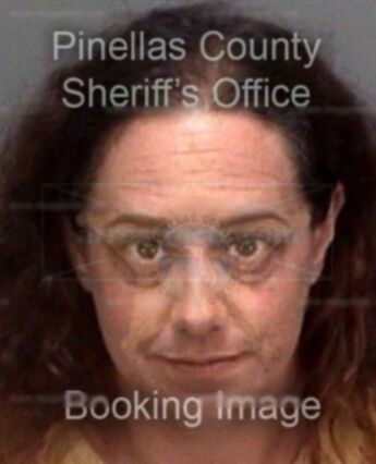 Lisa Anne Neveitt