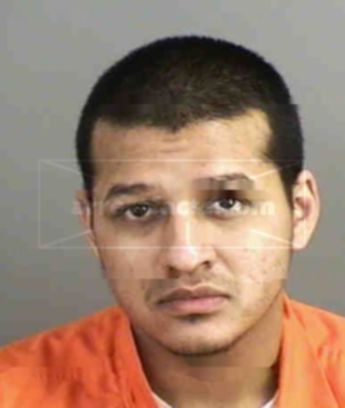 Stephen Ortiz