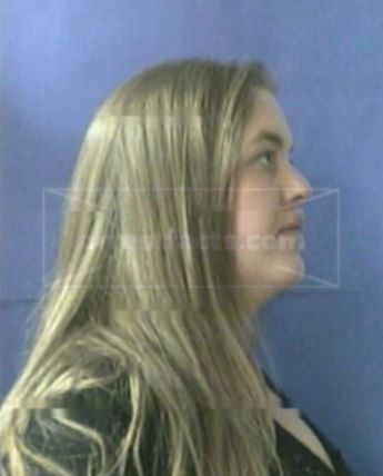 Leslie A Fine