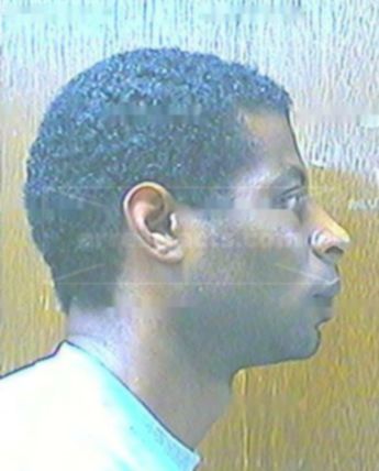 Leon L Nelson
