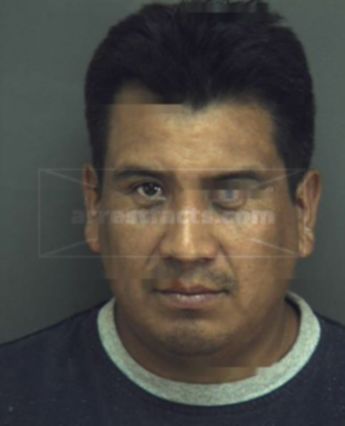 Edgar N Velasquez-Gonzalez