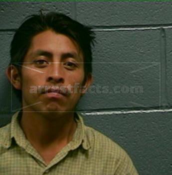 Luis Estrada-Mendez