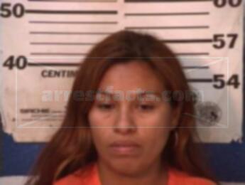 Irma Yolanda Valles Montes