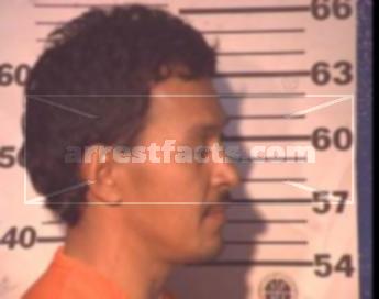 David Reynaldo Landeros Morin