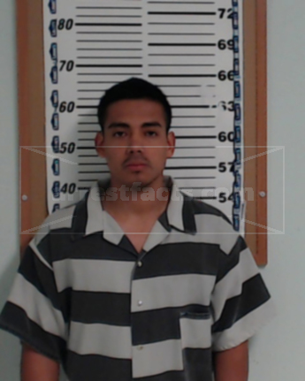 Mario Flores