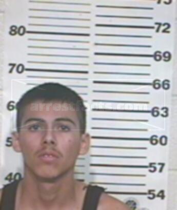 Cesar Nicolas Villarreal Gonzalez