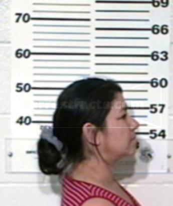 Bertha Alicia Trevino Pineda