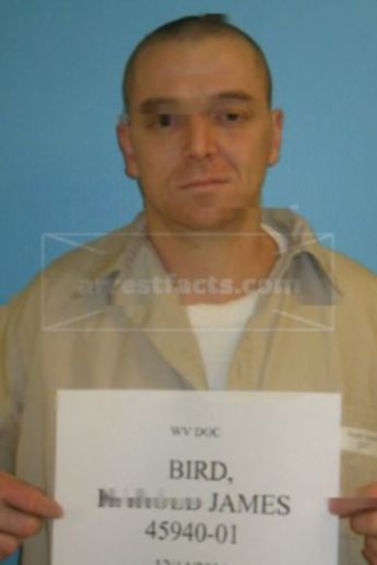 Harold J Bird