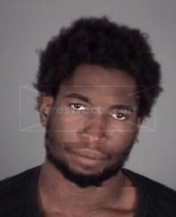Tylin Ashton Mayes
