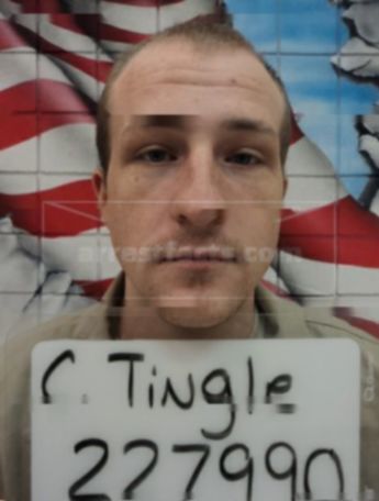 Cody D Tingle