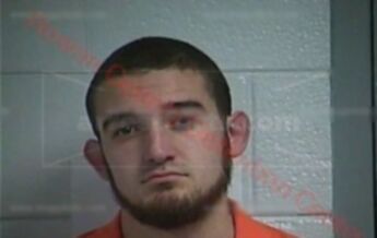 Dalton K Gallenstien