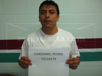 Pedro Cardenas