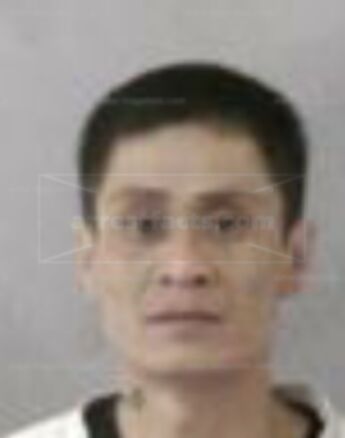 Phuong Hoang Le