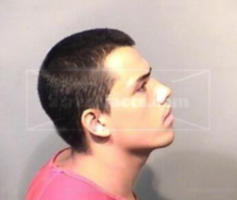 Andrew M Oppedisano