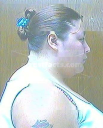 Patricia A Harris