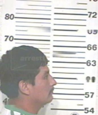 Nelson Sanchez Velasquez