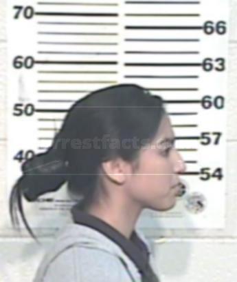Lee Ann Garza