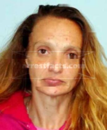 Tammy Ann Renner