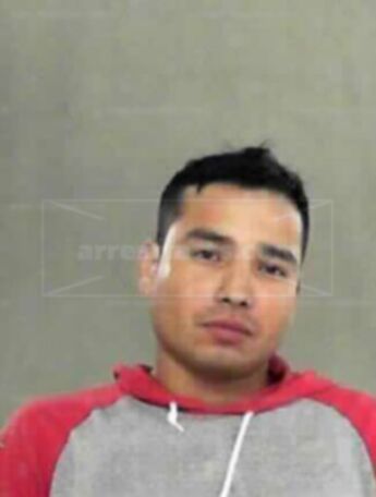 Javier Dejesus Flores-Castillo