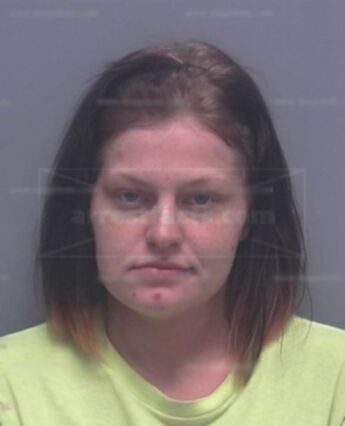 Sara Renee Lightfoot
