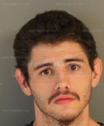 Timothy M Hardin