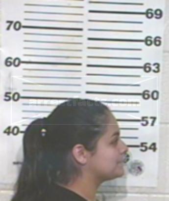 Cynthia Yvette Garcia Quiroz
