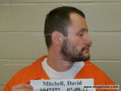 David M Mitchell