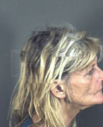 Susan Akins Fielder