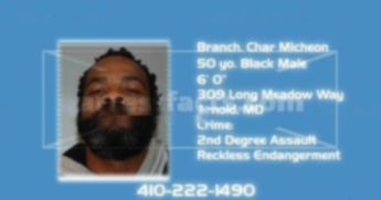 Branch Char Micheon
