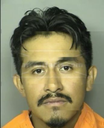 Jose Nmn Cortez
