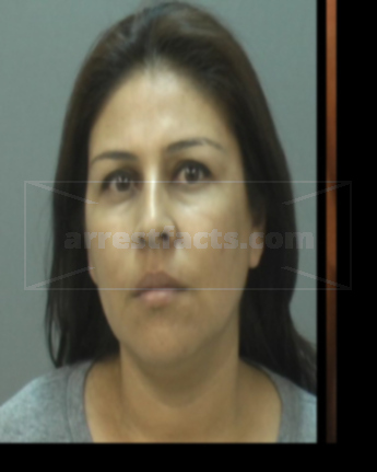 Yanet Sarabia Villasana