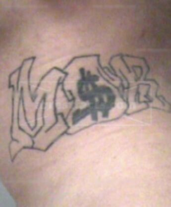 Edgar H Meza