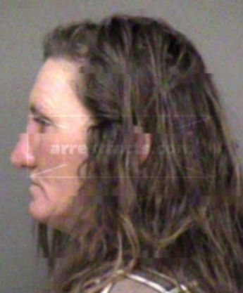 Karen L Shepherd