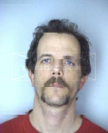 Dan T Allen
