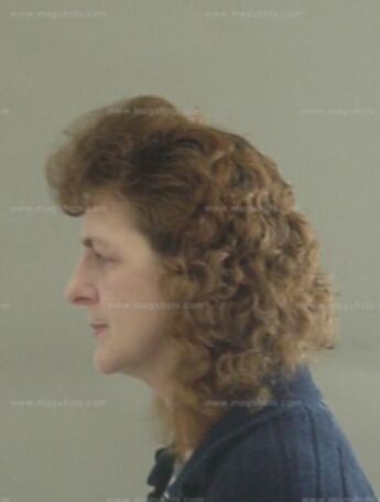 Jane A Geis