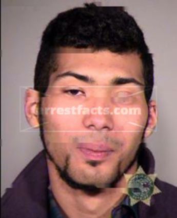 Matthew L Arrington Ii