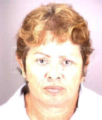 Irasema Arismendi Garcia